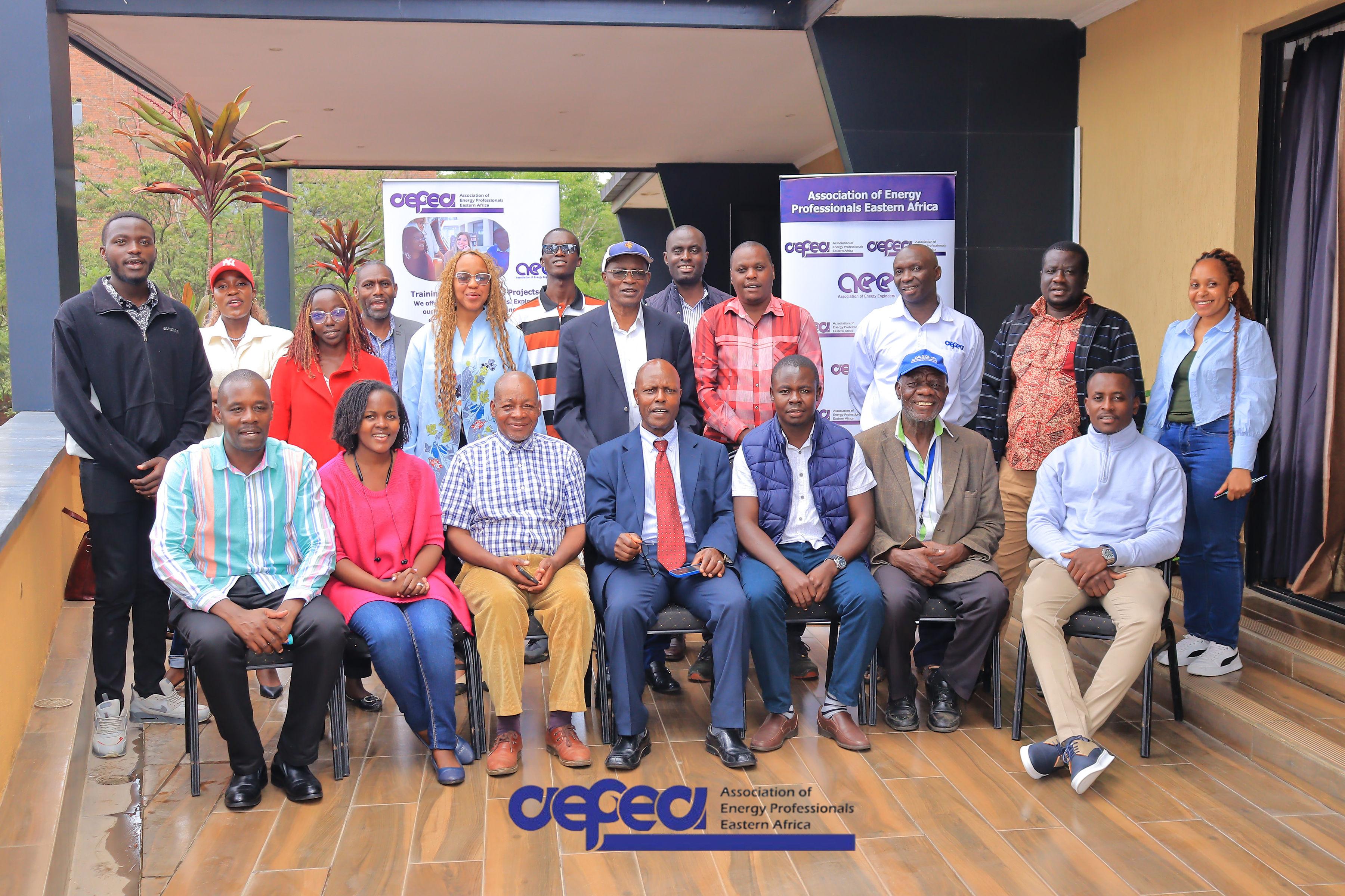 AEPEA energy professionals